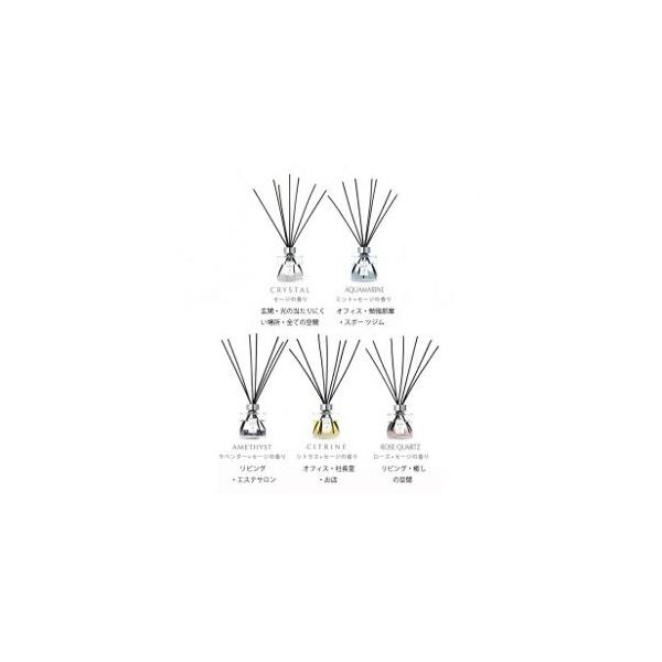 zCgZ[W  fBt[U[ LUCASJX AWXg X̂E߃v[g撆B