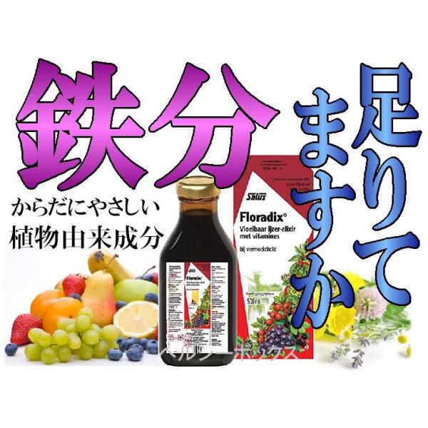 フローラディクス 500ｍｌ 6本 クロレラ工業 鉄分補給 貧血防止に