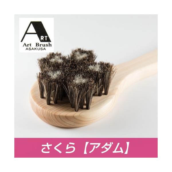 A[guV nу{fBuV  A_ - r[GP[