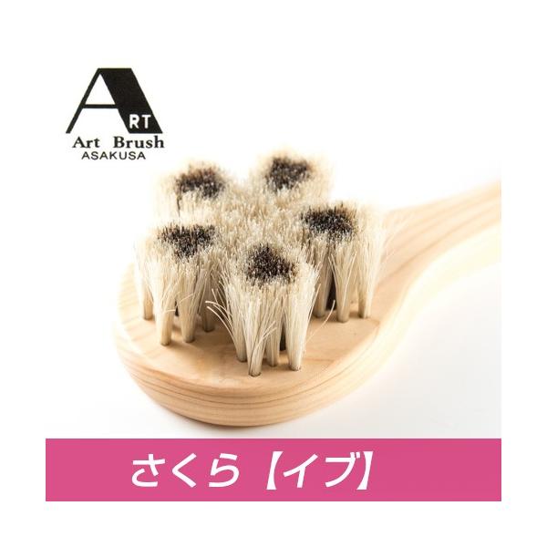 A[guV nу{fBuV  Cu - r[GP[