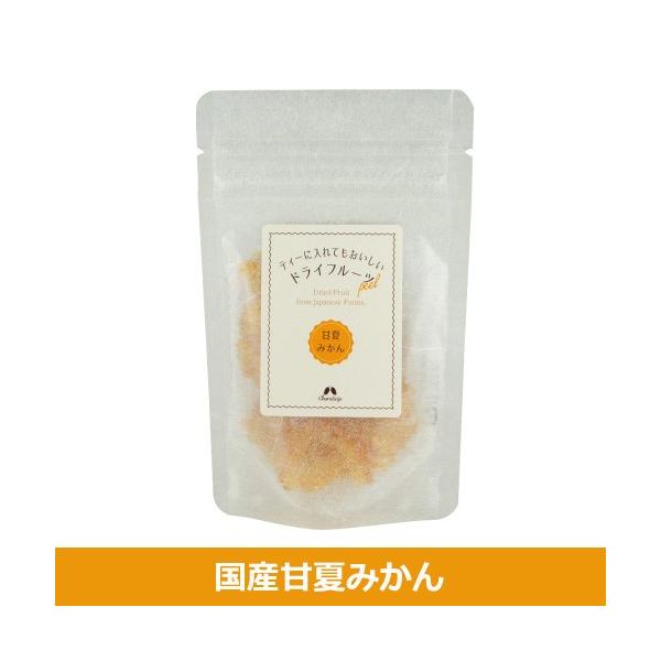 JX hCt[c YÉĂ݂ (iԁF204) - JX [֑Ήi