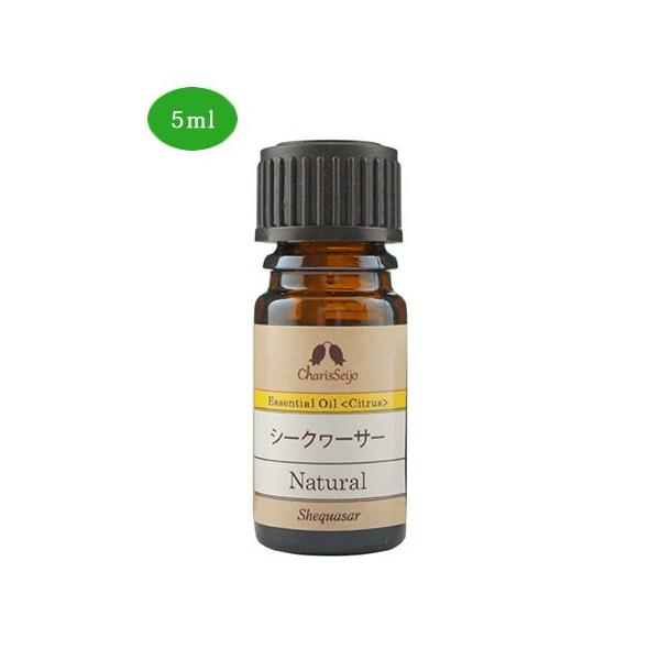 JX GbZVIC V[N[T[ 5ml (iԁF5686) - JX [A}IC]