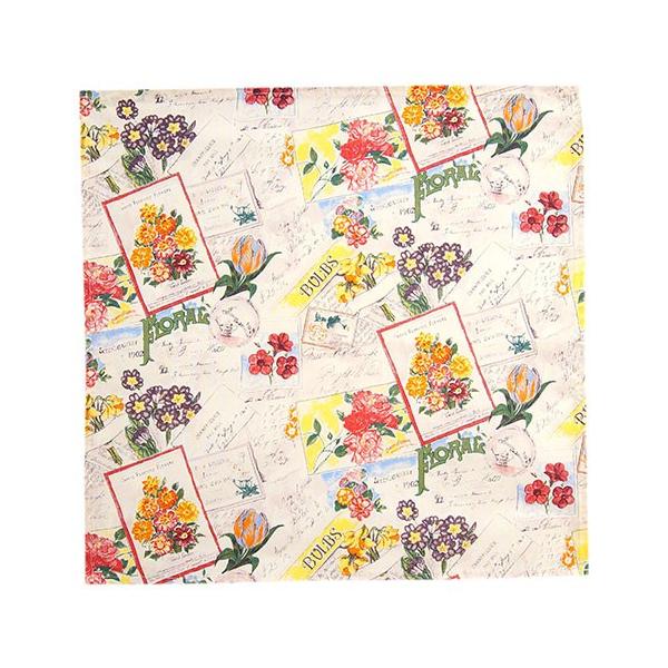 JX {^jJA[gV[Y ivL FD0811 K[fjOt[ (iԁF570711) - JX