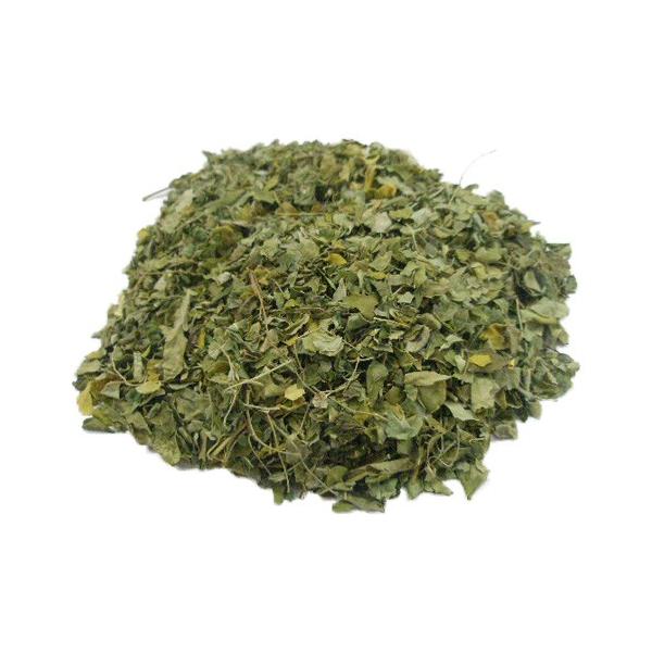 JX K TrmL [t z[ WH KBA 20g - JX [֑Ήi