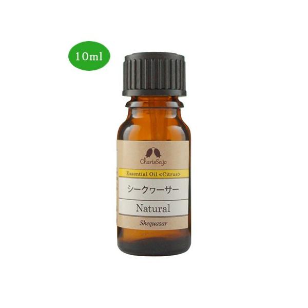 JX GbZVIC V[N[T[ 10ml (iԁF9585) - JX [A}IC]