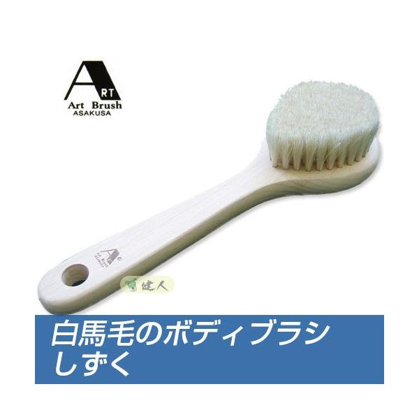 nт̃{fBuV@ - A[guV [g̗puV]