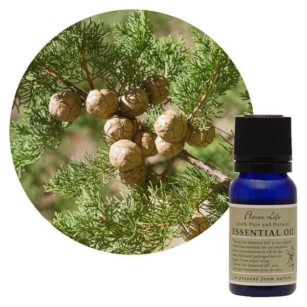 t[o[Ct FL  TCvX 10ml - t[o[Ct [֑Ήi