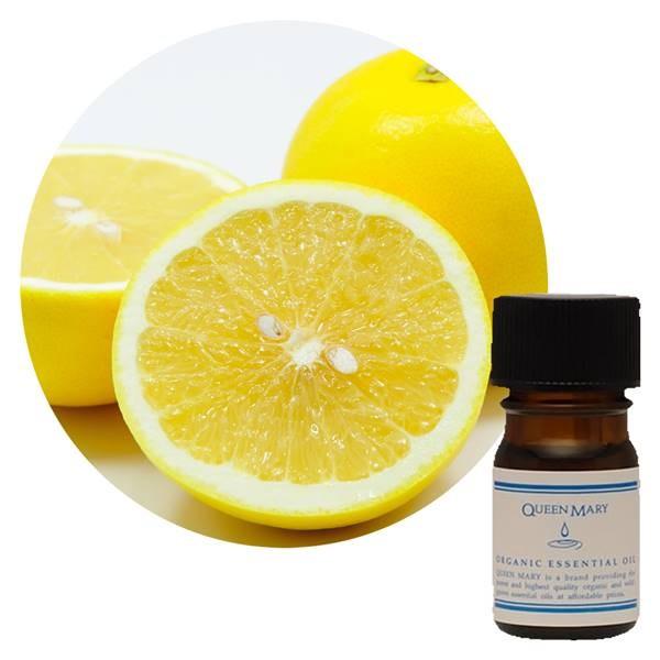 t[o[Ct NC[[  O[vt[c 5ml - t[o[Ct [֑Ήi