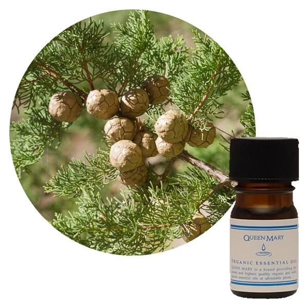 t[o[Ct NC[[  TCvX 5ml - t[o[Ct [֑Ήi