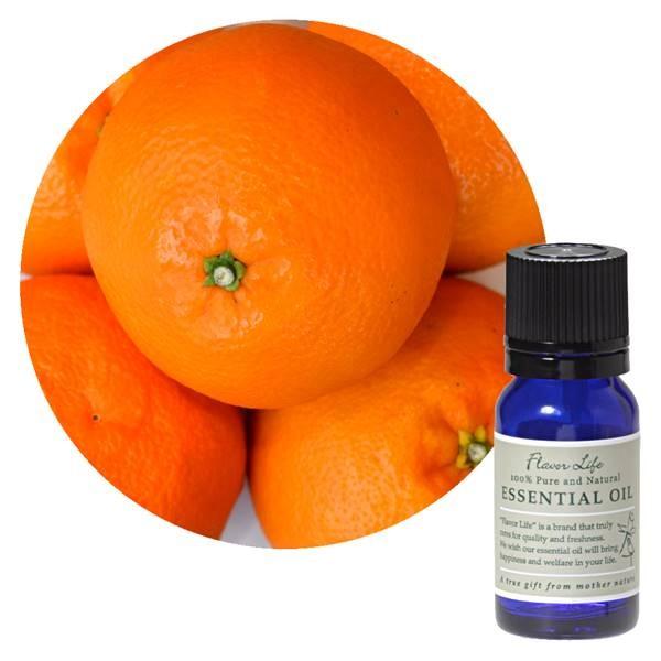 t[o[Ct FL  悩 10ml - t[o[Ct [֑Ήi