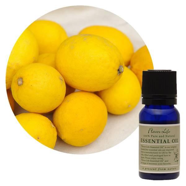 t[o[Ct FL  ˓ 10ml - t[o[Ct [֑Ήi