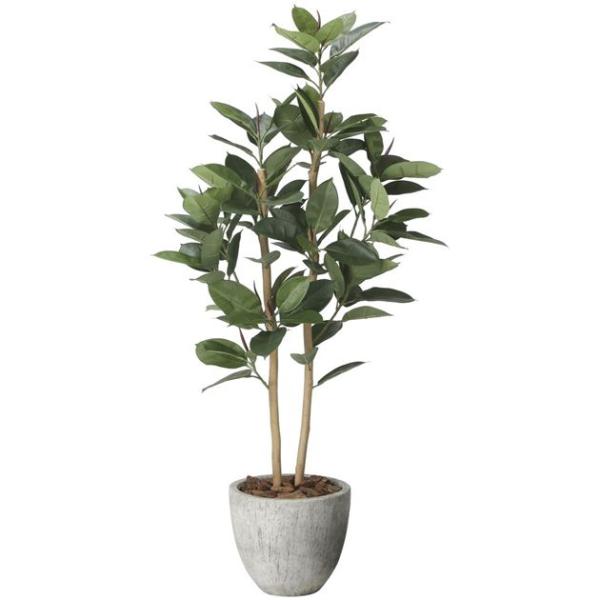 光触媒で空気もキレイにナチュラルゴムの木2626A530