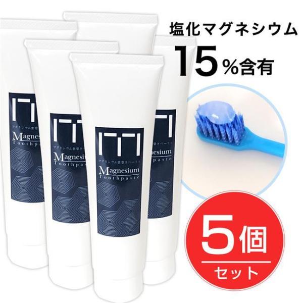 j[TCGX }OlVEy[Xg 120g×5Zbg