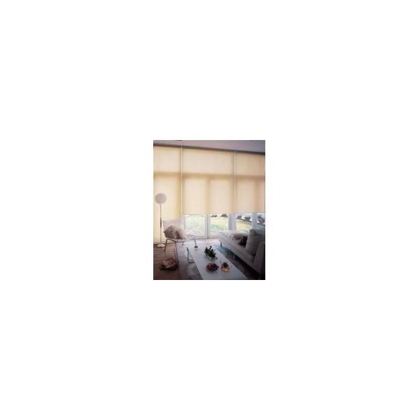 タチカワ TIORIOティオリオ ロールスクリーン無地防炎規格品 巾70×高さ210cm TR-3148 ペールグリーン 【SALE／75%OFF】