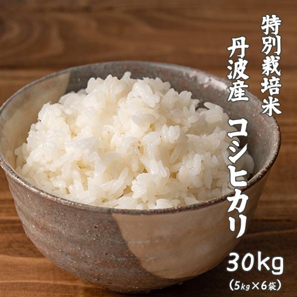 【白米】令和5年産 特別栽培米 丹波産 コシヒカリ 30kg(5kg×6袋) 単一原料米 こしひかり 米 お米 白米 ヘルシー＆スマイル