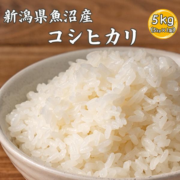【白米】 令和7年産 魚沼産 コシヒカリ 5kg 国産 新潟県産 こしひかり お米 白米 米 ヘルシー＆スマイル 爆買