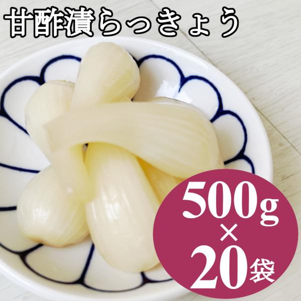 らっきょう漬け 10kg (500gx20袋) 国内加工 甘酢漬け ラッキョウ漬け