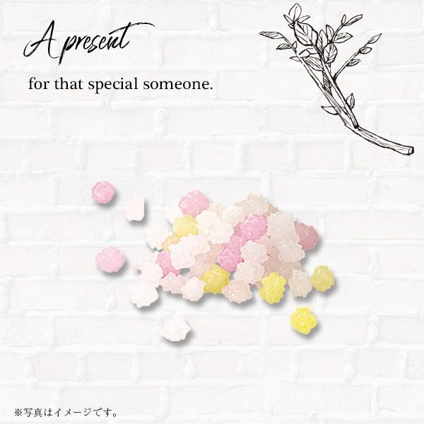 プチギフト 退職 クリスマス おしゃれ 安い お菓子 結婚式 お礼 サブマリンホヌ ハワイアン こんぺいとう 金平糖g Buyee Buyee 提供一站式最全面最專業現地yahoo Japan拍賣代bid代拍代購服務 Bot Online