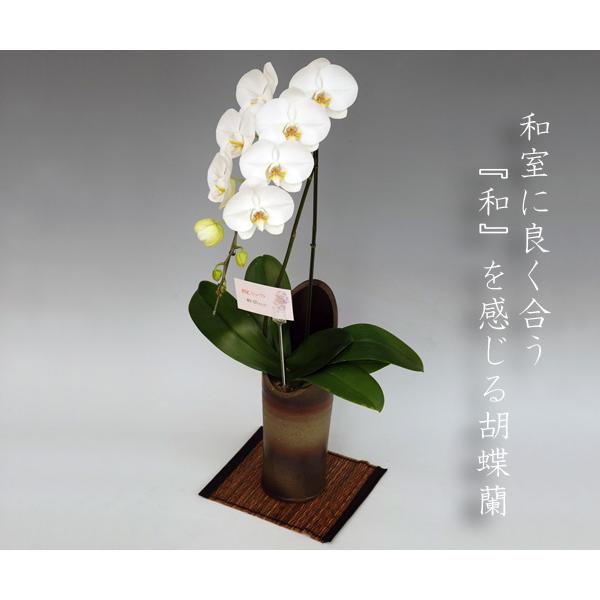 j Əj wj aӒ փzCg1{ aɍ mMtg