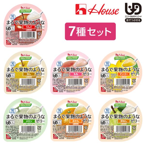 介護食 介護食品 デザート プリン ゼリー 高齢者 老人 やさしくラクケア まるで果物のようなゼリー 7種セット [軽減税率]【返品不可】E1894 【介】