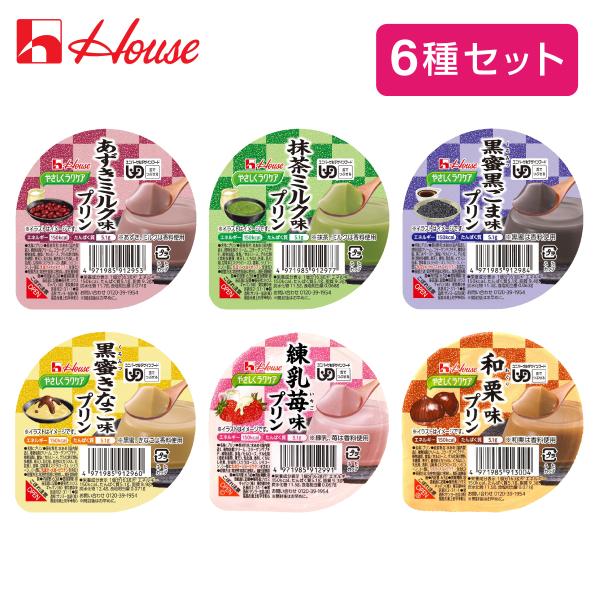 介護食 防災 介護食品 デザート プリン ゼリー 高齢者 老人 ハウスギャバン やさしくラクケア 和風プリンシリーズ 6種セット [軽減税率]【返品不可】 520020