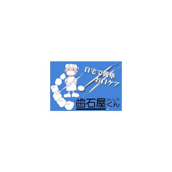 歯石屋くん デンタルケア ステイン 歯垢 ヤニ 除去 歯 掃除具 口臭ケア 口臭対策 オーラルケア