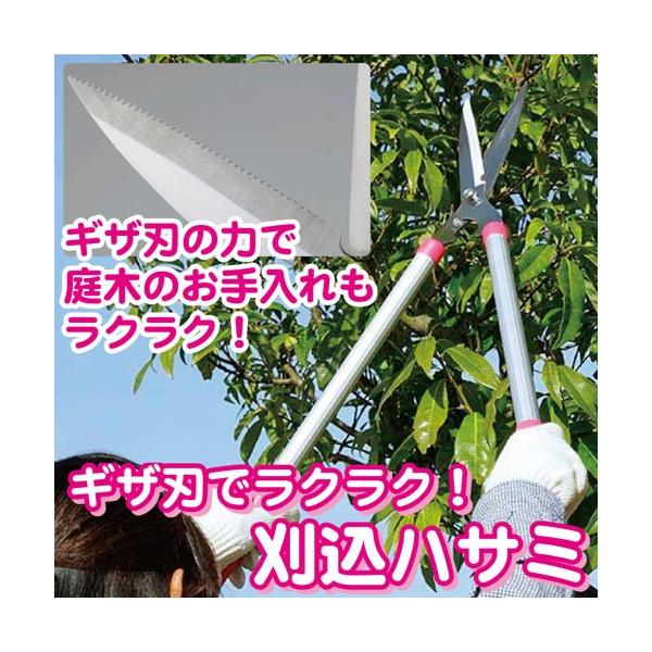 MUnŃNN nT~ 荞݂΂ p |p͂ 荞  |p |  }  