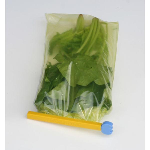 HiVNۑ×3Zbg Hiۑe ۑe P[X Hiۑ Hiۑp  Nx ۑ ۑp ۑ  ۑp [ ۊ