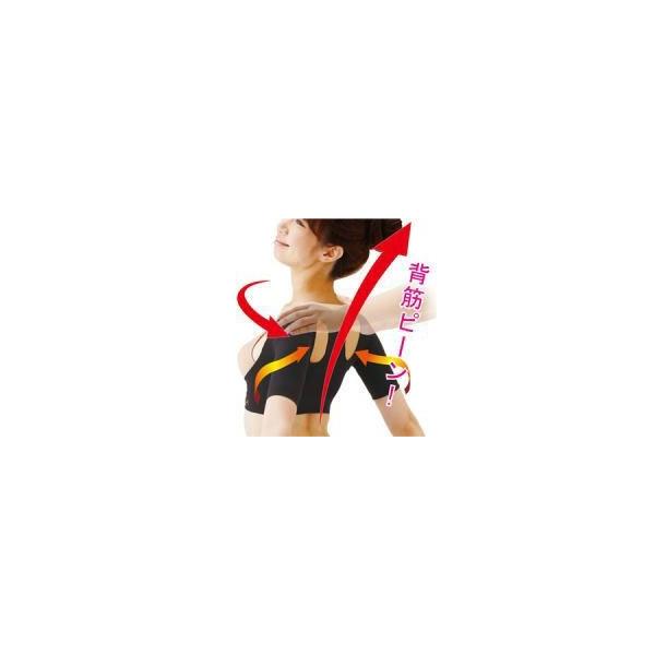 쎮 y Lwxg pi ⏕xg w p  Lw | b pxg p Lw