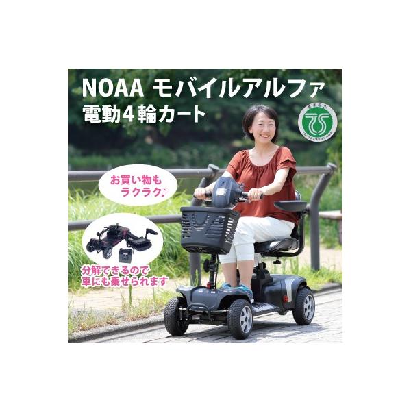NOAA oCAt@ dJ[g VjAJ[ WT-T4G d4փJ[g dVjAJ[ d 4փJ[g l֎ 4֎ s⏕