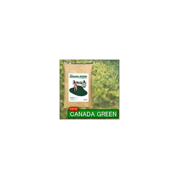 ニューカナダグリーン NEWカナダグリーン 芝生 芝 苗 ガーデニング 芝生の種 ブレンド 庭 ガーデニング用芝