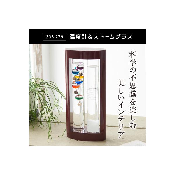 xvXg[OX 333-279 CeAG  KIxv j[N IuWF G 킢 