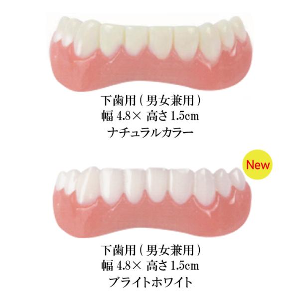 {EKi CX^gX}C p jp ȈՕt ꎕ Ȉ t  ̔Y   F  Jo[