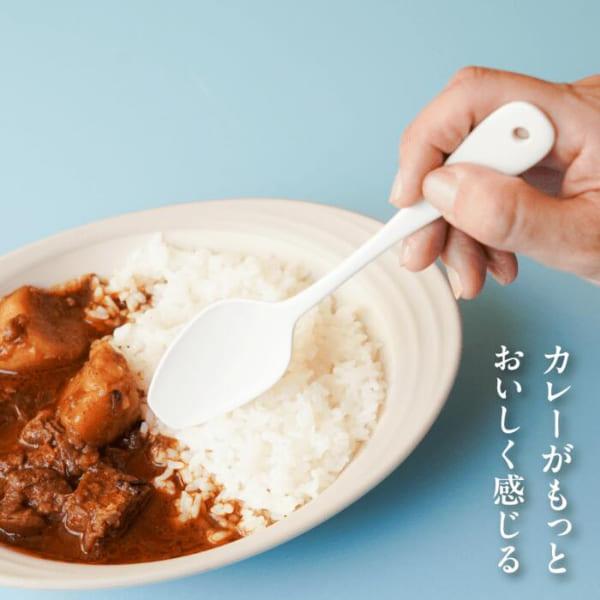 カレーがもっとおいしく感じるスプーン×2個セット スプーン カトラリー
