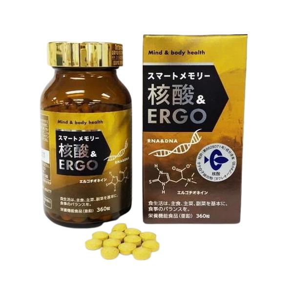 X}[g[j_ERGO 360 Tvg GS`IlC ^M^PGLX DNA TPqo RNA Hpyꒊo j_  h{@\Hi