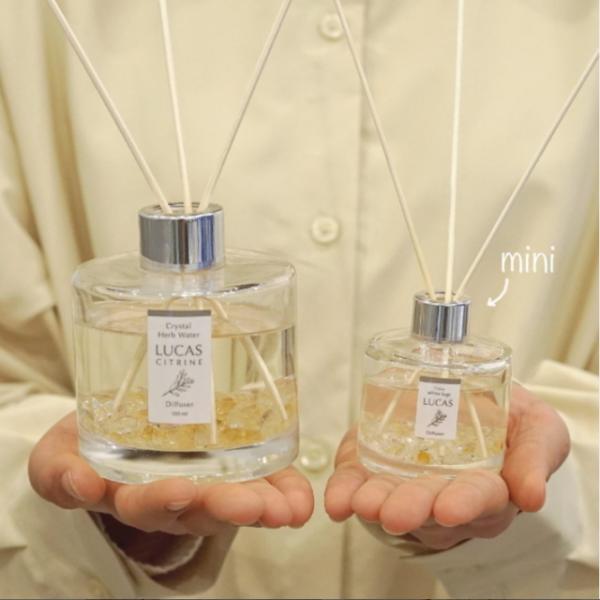 LUCAS 򉻃fBt[U[ mini {2×3Zbg A}JX   VR p[Xg[ Z[W n[u