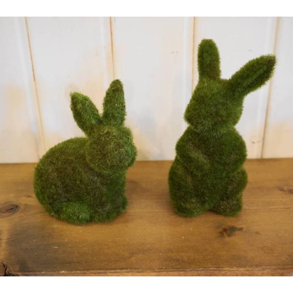 モスウサギ うさぎ置物のレビュー クチコミとして参考になる投稿4枚 Roomclip ルームクリップ