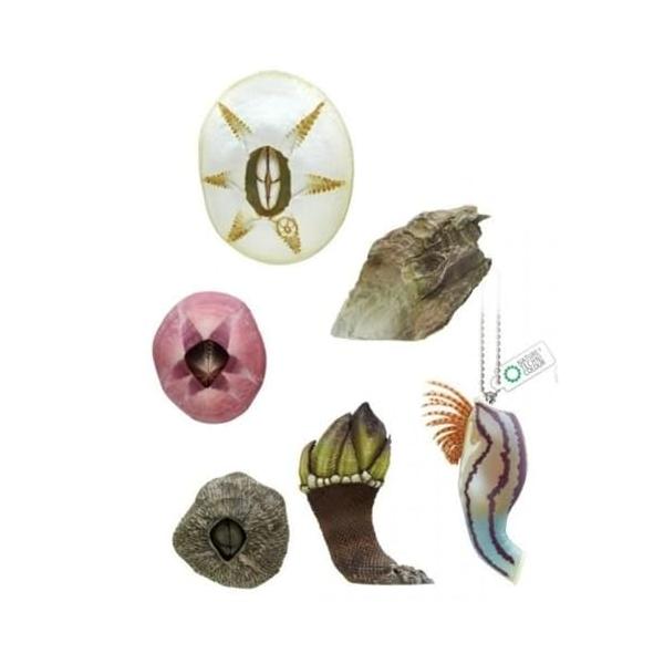 いきもん ネイチャーテクニカラー MONO PLUS フジツボ ボールチェーン