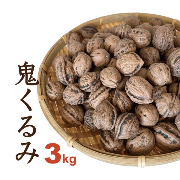 くるみ 3kg 国産 殻付き 令和4年産 山形県小国町産 鬼くるみ オニグルミ 和くるみ 送料無料(一部地域を除く) :onigurumi-3kg:ハートランドファーム いちご一笑 - 通販 - Yahoo!ショッピング くるみ 3kg 国産 殻付き 令和4年産 山形県小国町産 鬼くるみ オニグルミ 和くるみ 送料無料(一部地域を除く) :onigurumi-3kg:ハートランドファーム いちご一笑 - 通販 - Yahoo!ショッピング