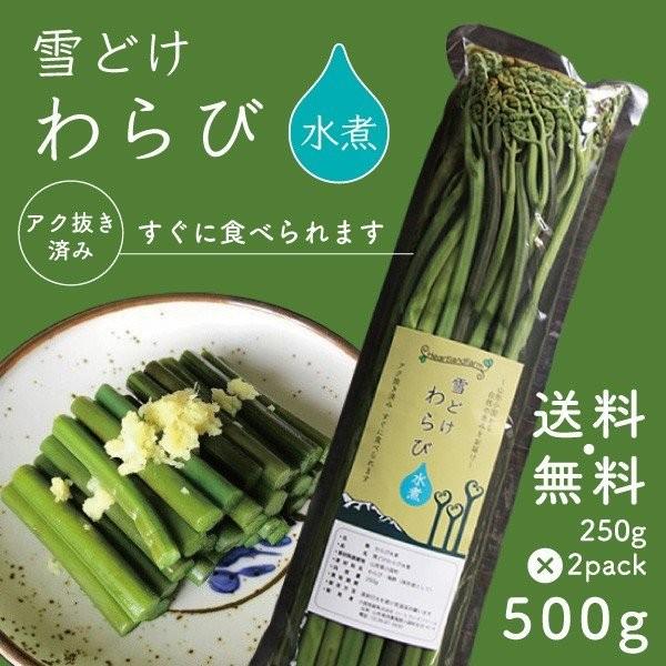 わらび 雪どけわらび水煮 500g 250g 2パック 山形県小国町産 山菜 送料無料 Sansai Warabimizuni 500g ハートランドファーム いちご一笑 通販 Yahoo ショッピング