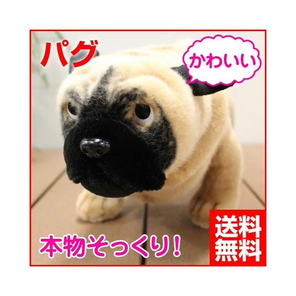 パグ ぬいぐるみ リアルの人気商品・通販・価格比較 - 価格.com パグ ぬいぐるみ リアルの人気商品・通販・価格比較 - 価格.com