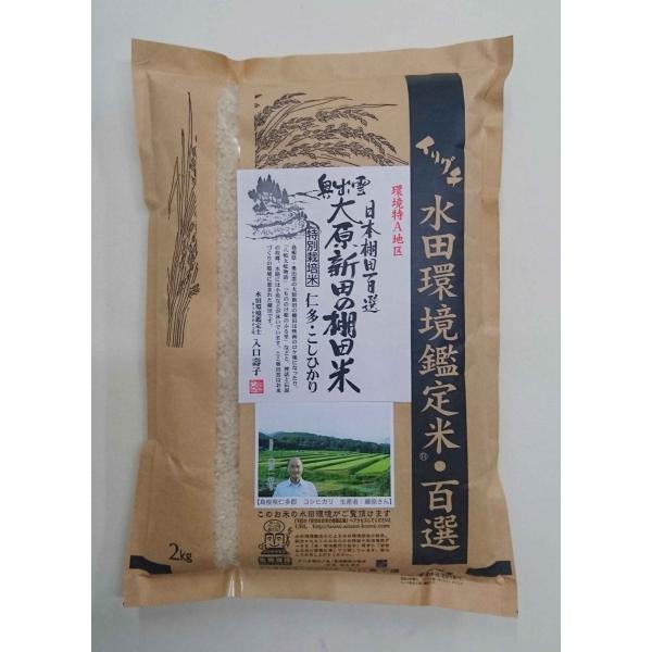 V ߘa7NY Y ʍ͔|āiw엿E_jRVqJ 2kg ꗘ