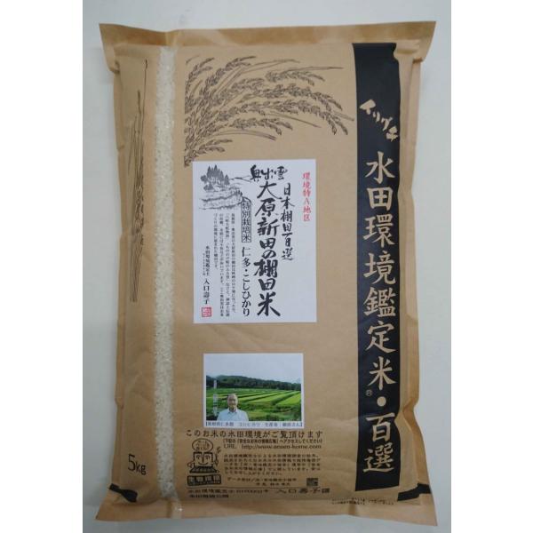 V ߘa7NY Y ʍ͔|āiw엿E_jRVqJ 5kg ꗘ