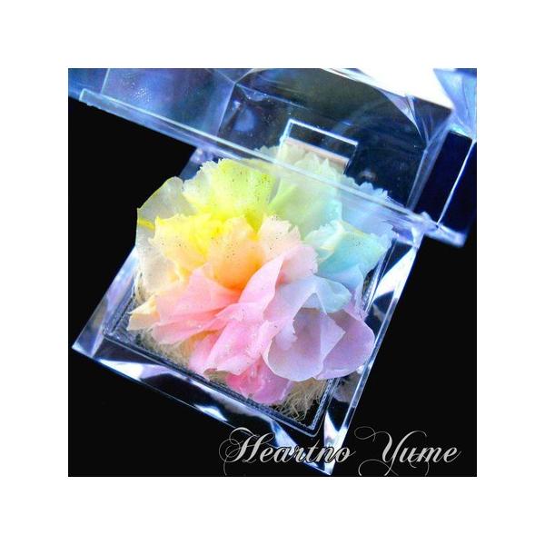 サウンドアレンジ 【高級プリザーブドフラワー】ケース入り パステル