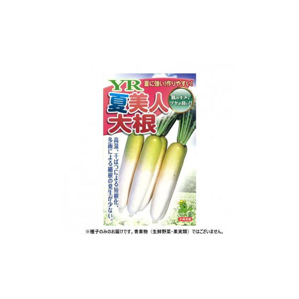 小林種苗 ダイコン種子 YR夏美人 11 2dl