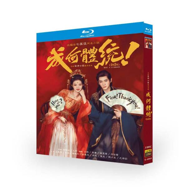 日本語字幕 中国ドラマ 華ドラ「みっともない」Blu-ray BOX 全話収録
