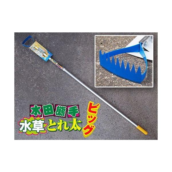 ゆきんこさま専用 クレ・ド・ポーボーテ 2点セット 水田熊手 水草とれ太ビッグ ドウカン DK-818 : ハーティ・エクスプレス