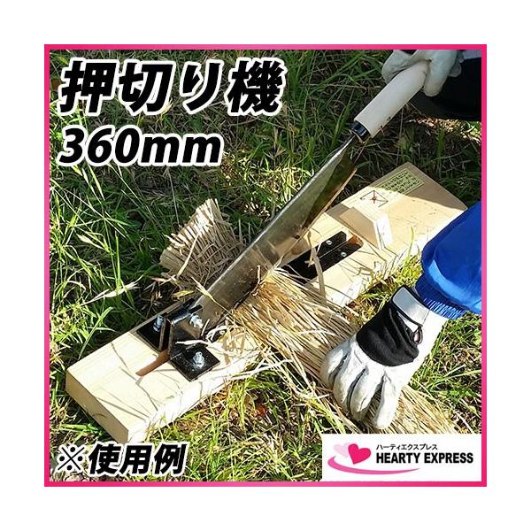 hearty-e_tonbo-oshi360 hearty-e_tonbo-oshi360