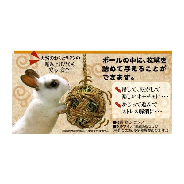 76 Off 無着色 ラタンボールかじり木10個セット 小動物用品