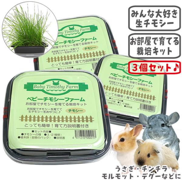 チモシー 24kg ウサギ モルモット うさぎ デグー チンチラ １番刈り 餌 小動物用品 チモシー 24kg ウサギ モルモット うさぎ デグー チンチラ